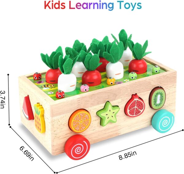 Shape Sorting Toys - Image 3