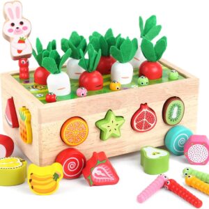 Shape Sorting Toys