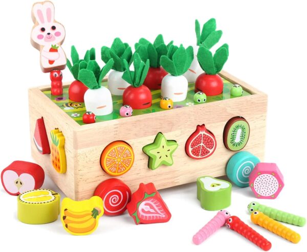 Shape Sorting Toys