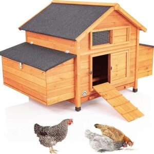 Chicken Coop Extra Large